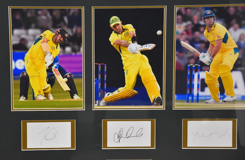 Load image into Gallery viewer, Australia&#39;s Finest Cricketers Signed Collage incl. Smith, Cummins, Head, Lyon, Maxwell and Mitch Marsh, from Unique Memorabilia. 
