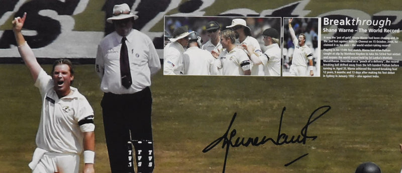 Load image into Gallery viewer, &#39;Breakthrough - The World Record&#39; Shane Warne Signed Collage, from Unique Memorabilia. 
