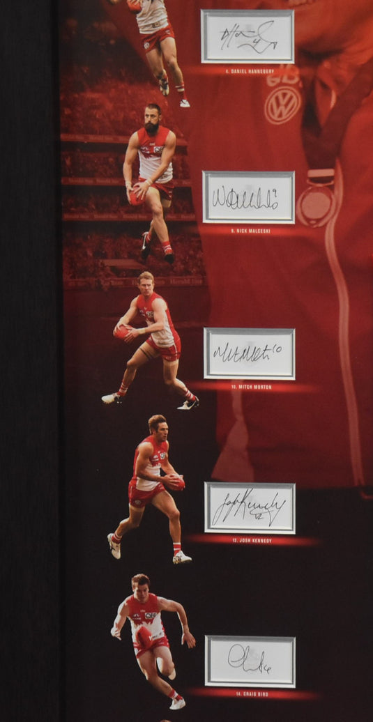 Sydney Swans AFL Champions 2012 Signed Piece, from Unique Memorabilia. 