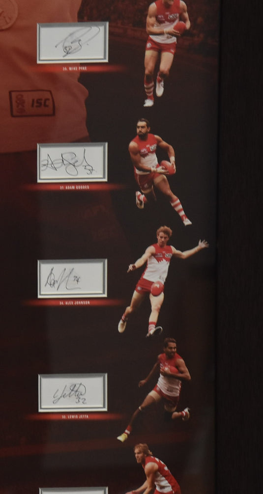 Sydney Swans AFL Champions 2012 Signed Piece, from Unique Memorabilia. 