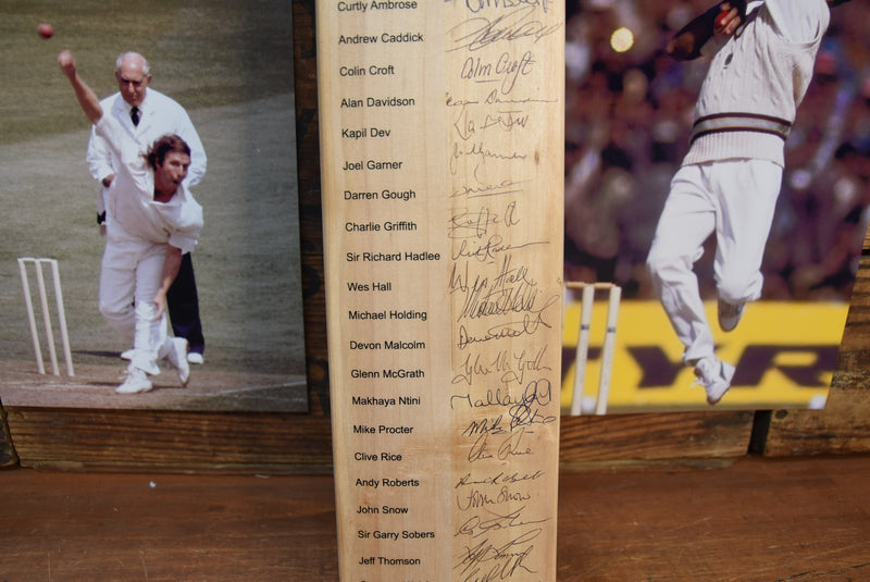 Load image into Gallery viewer, The Lord&#39;s Taverners &quot;Fast Bowlers Dinner&quot; Bat Personally Signed by 22 of the Best
