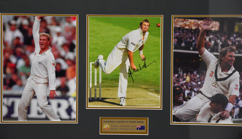 Load image into Gallery viewer, Shane Warne Personally Signed Career Tribute, Framed
