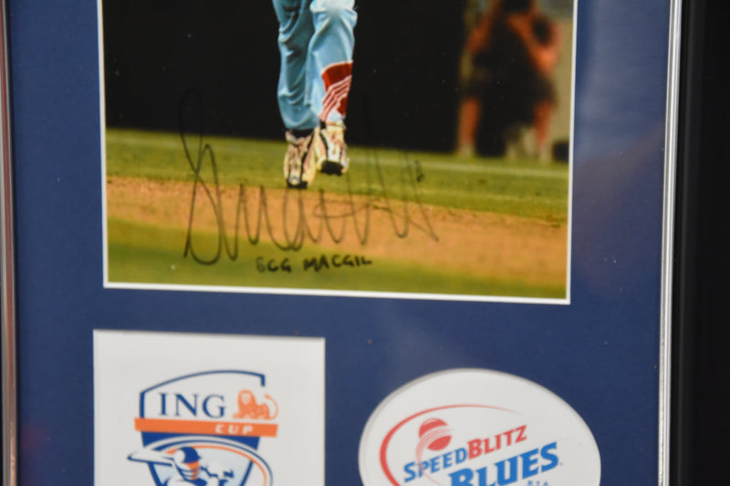 Load image into Gallery viewer, Stuart MacGill Collection - Ashes Kitbag, Signed Award, NSW Helmet
