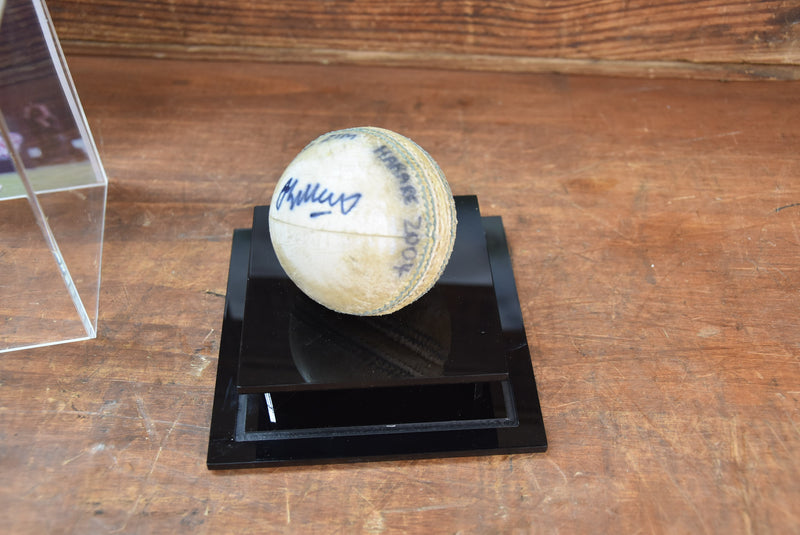 Load image into Gallery viewer, Jason Gillespie &quot;5 Wickets In an Innings&quot; ODI Ball, 5/32, 2004
