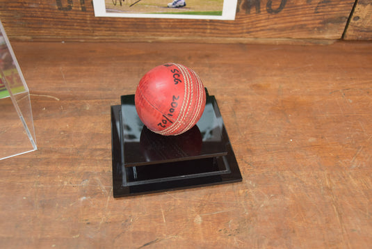 Jason Gillespie "8 for 50" Match Used Ball, SA v NSW, 2001/2002