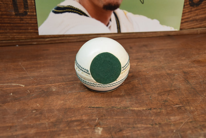 Load image into Gallery viewer, Winners Trophy, Jason Gillespie, Australia/India/Zimbabwe 2004
