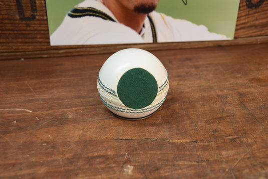 Winners Trophy, Jason Gillespie, Australia/India/Zimbabwe 2004