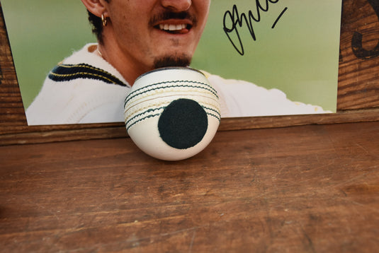 Winners Trophy, Jason Gillespie, Australia/England/Sri Lanka ODI Series 2003