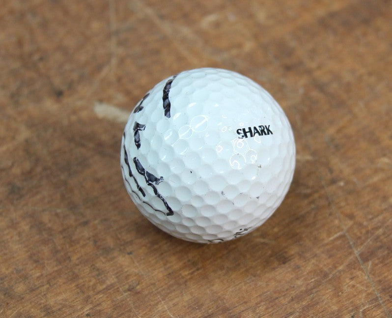 Load image into Gallery viewer, John Daly &amp; Greg Norman - Tournament-Hit/Signed Golf Balls and Signed Photos
