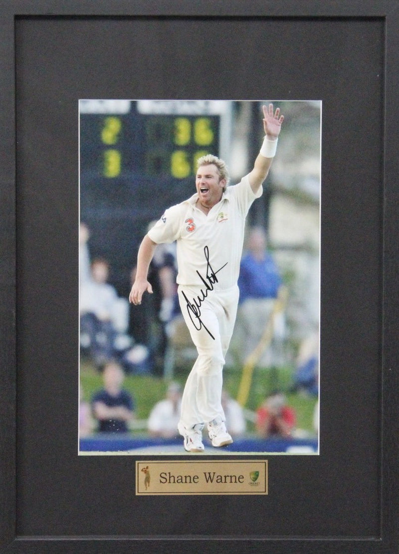 Load image into Gallery viewer, Shane Warne Personally Signed "Triumphant", Framed
