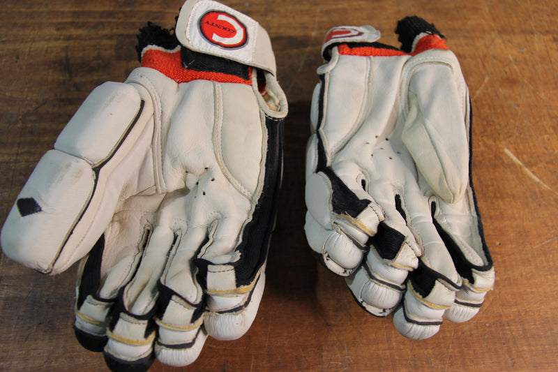 Load image into Gallery viewer, Shane Warne 2005 Ashes Test-Worn Batting Gloves
