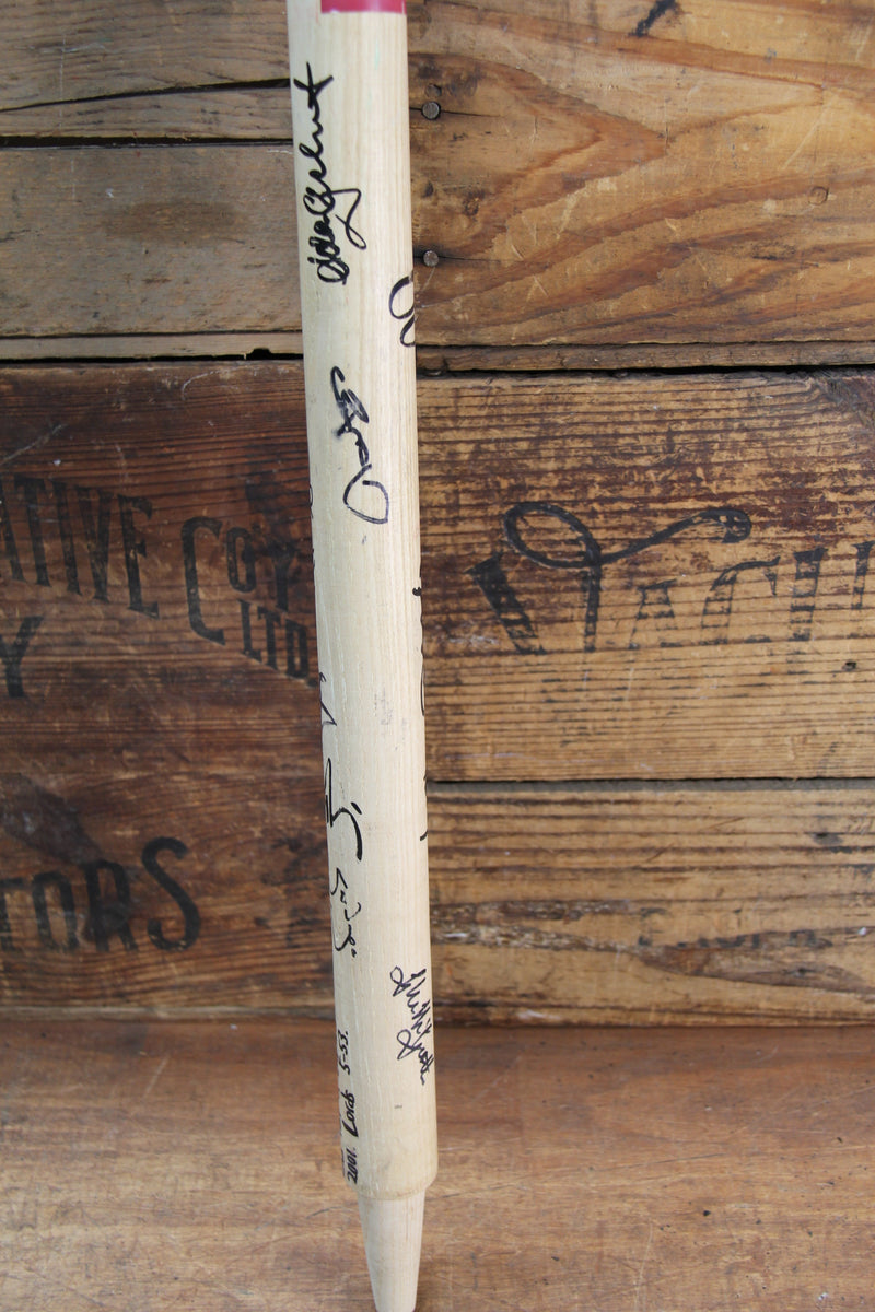Load image into Gallery viewer, Ashes Test Stump - 5 for 53 at Lords - Jason Gillespie - Team Signed
