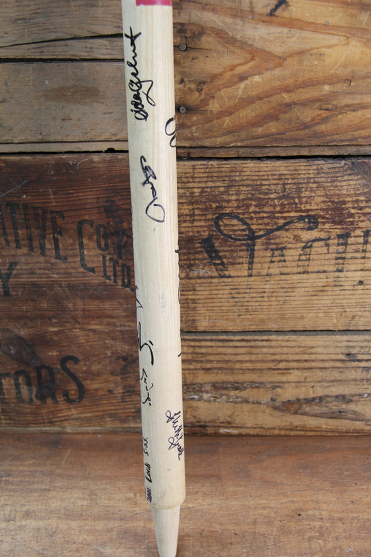 Ashes Test Stump - 5 for 53 at Lords - Jason Gillespie - Team Signed